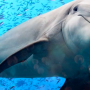 videos201920250509-143523.png
