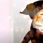 videos201920250509-143858.png