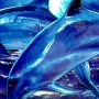videos201920250509-144907.png