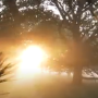 captura_de_pantalla_2024-08-27_134231.png