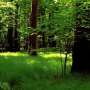 videos202120250509-140720.png
