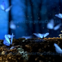 captura_de_pantalla_2024-10-11_085910.png
