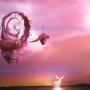 captura_de_pantalla_2024-10-27_135314.png