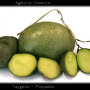captura_de_pantalla_2024-03-14_104449.png