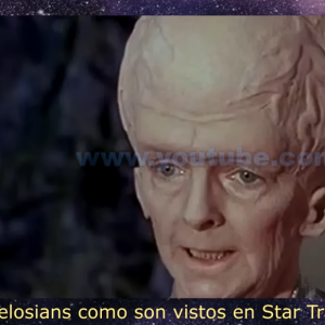 theloainaos1_5.png
