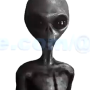 20250314-123015.png
